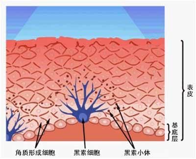 白癜风患者照光需要遮盖？